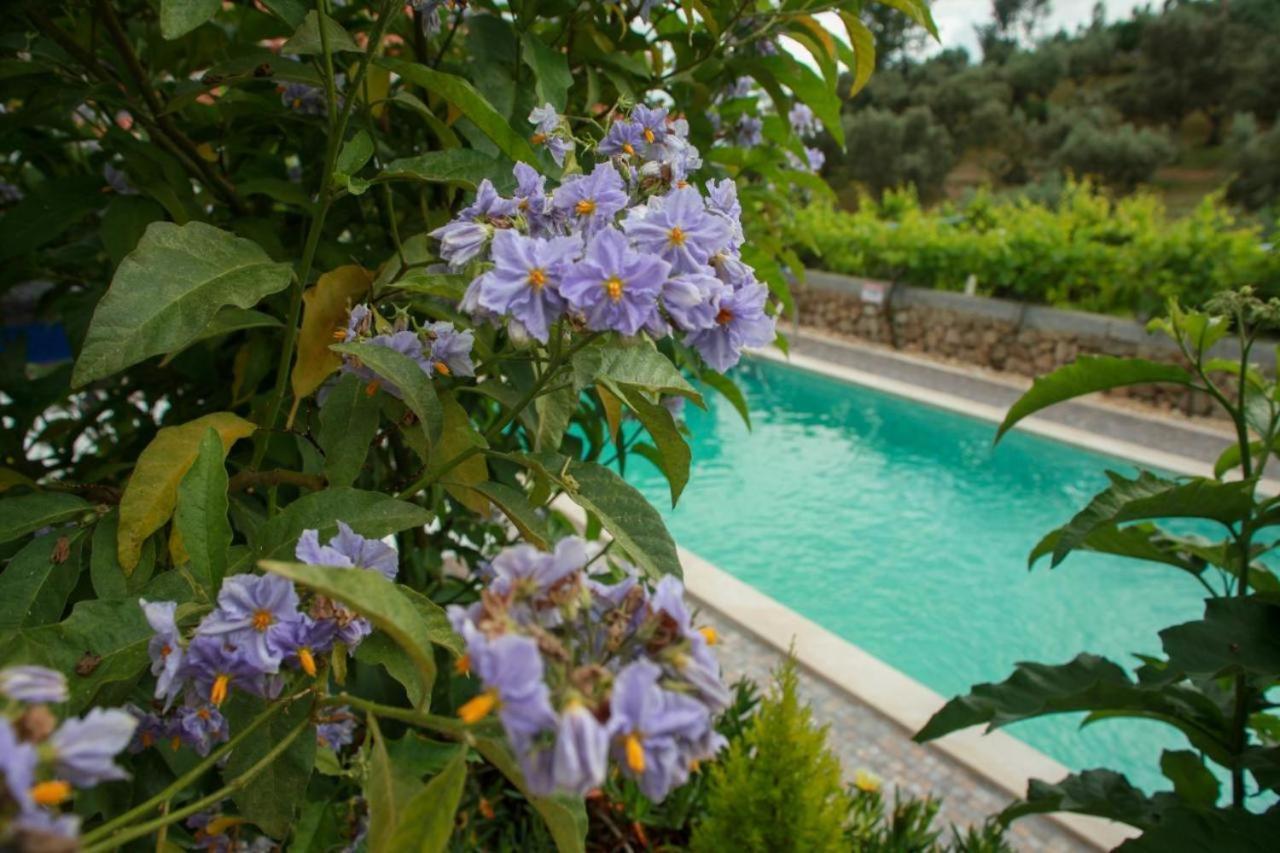 Quinta Ribeiro Tanquinhos Affittacamere Tancos Esterno foto