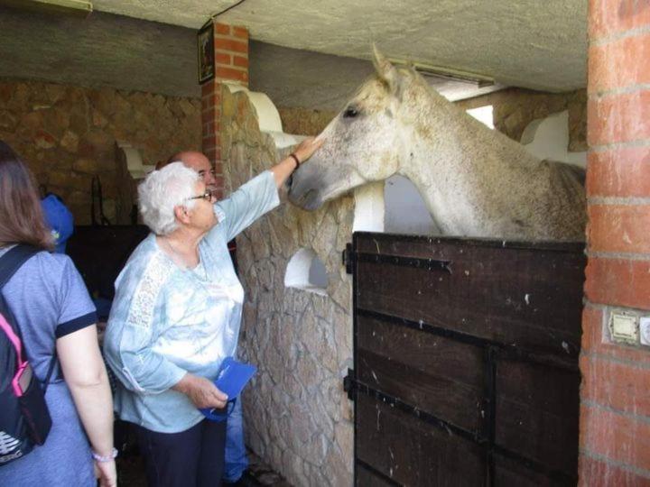 Quinta Ribeiro Tanquinhos Affittacamere Tancos Esterno foto