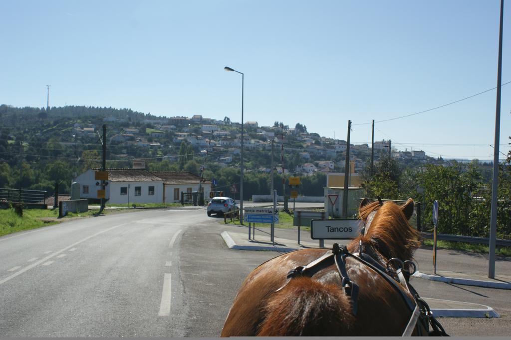 Quinta Ribeiro Tanquinhos Affittacamere Tancos Esterno foto