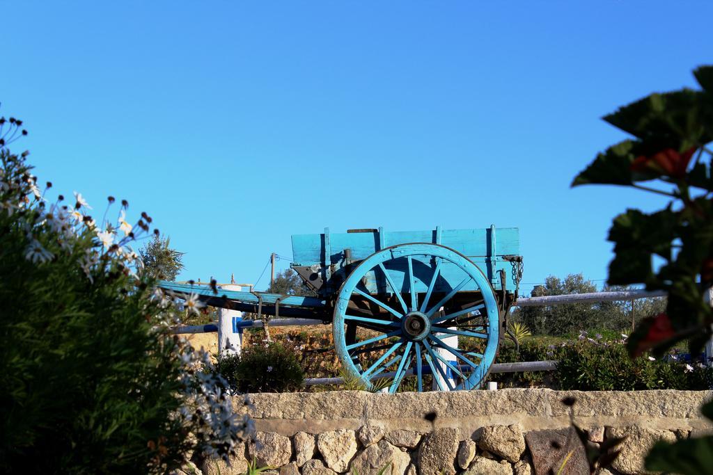 Quinta Ribeiro Tanquinhos Affittacamere Tancos Esterno foto