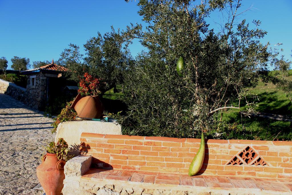 Quinta Ribeiro Tanquinhos Affittacamere Tancos Esterno foto