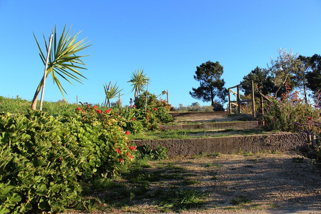 Quinta Ribeiro Tanquinhos Affittacamere Tancos Esterno foto