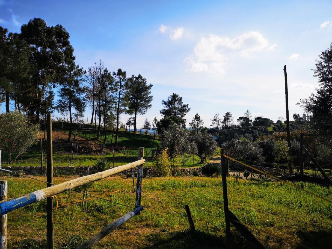 Quinta Ribeiro Tanquinhos Affittacamere Tancos Esterno foto